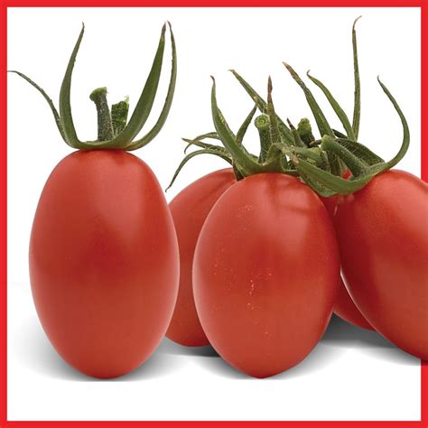 Semilla Para Cultivo De Tomate Indeterminado Uva Sakata Sweet Elite