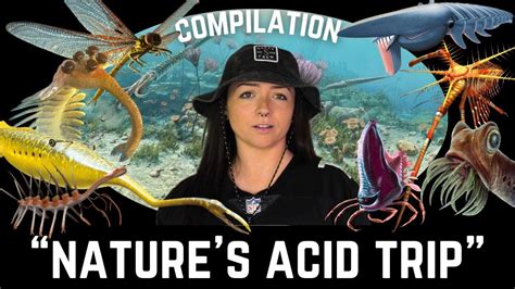 The Paleozoic Era That We Know Of Compilation Lindsay Nikole Youtube