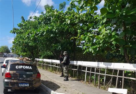 Paulista Realiza A Es De Fiscaliza O E Combate Aos Crimes Ambientais