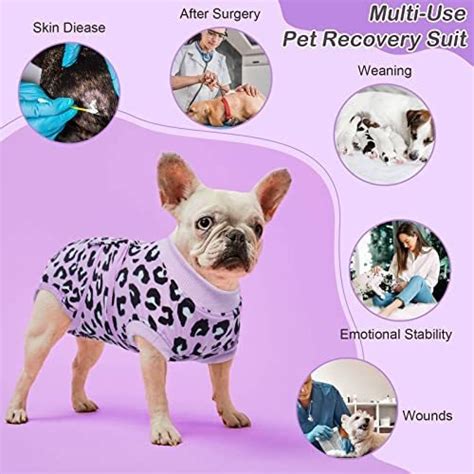 Kuoser Traje De Recuperaci N Quir Rgica Para Perros Y Gato Cuotas Sin