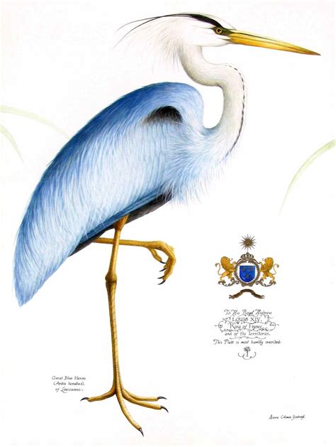 A Drawing Of A Blue Heron Standing Next To A Coat Of Arms And Crest On