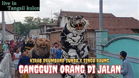 Macan Sunda Singo Raung Gangguin Orang Di Jalan Kirab Drumband