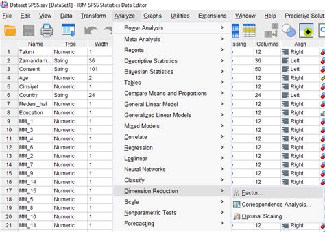 Spss Ile A Mlay C Fakt R Analizi Resimli Spss Yardimi Stat St K