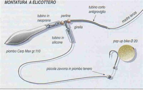 Carpfishing Tecniche E Montature Pescarenet Guida Alla Pesca