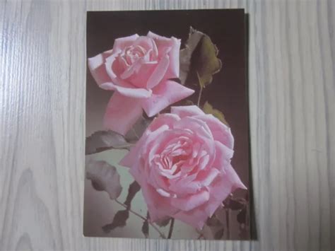 Ddr Alte Postkarte Ak Karte Mit Blumenmotiv Rose Von