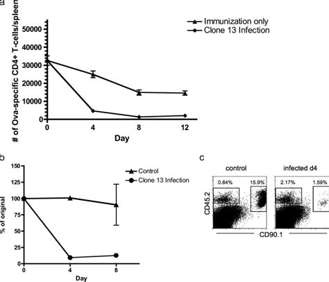 Deletion Of Ova Specific Cd T Cell Responses Upon Lcmv Clone