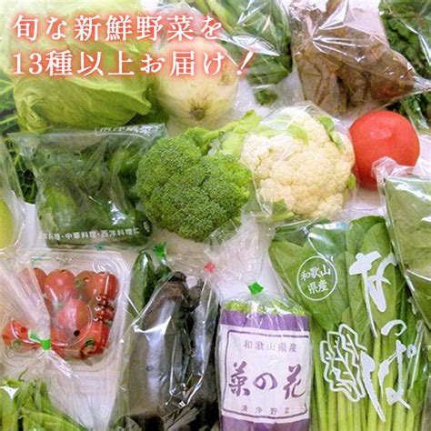 旬の新鮮野菜セット 大満足な13種以上【野菜詰め合わせ】 和歌山県印南町 Jre Mallふるさと納税