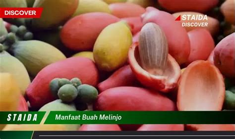 Bukan Cuma Buah Kemiri Ketahui 5 Manfaat Buah Melinjo Yang Wajib Diketahui