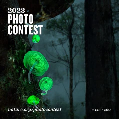 The Nature Conservancys Global Photo Contest Ends September