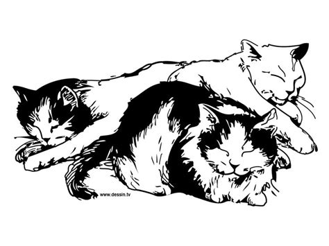 Coloring Sleeping Cats Cat Coloring Page Cat Colors Cat Coloring Book