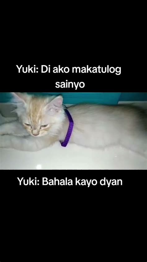 Yuki Di Makatulog Youtube