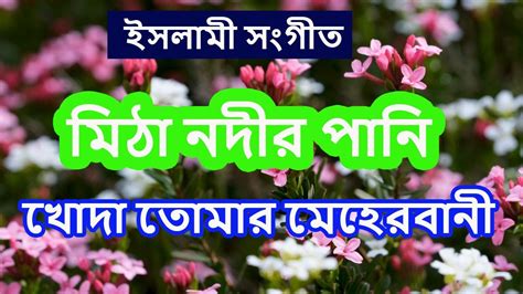 এই সনদর ফল সনদর ফল Ei Shundor Ful Shundor Fol ইসলম সগত