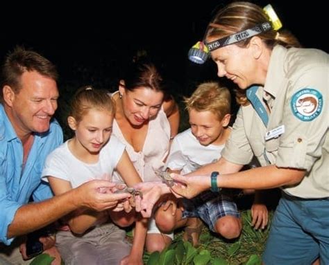 Mon Repos Turtle Hatching Season Bundaberg Tours