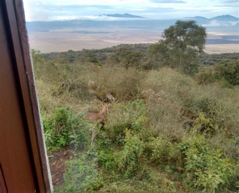 Ngorongoro Krater Conservation Area Tanzania Experts