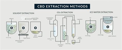 Cbd Extraction Crash Course Everything You Need To Know