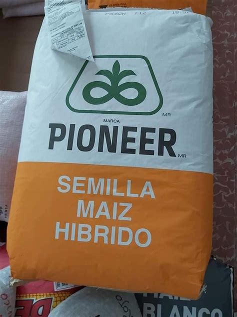 Semilla Ma Z Hibrido Pioneer F Amarillo Kg A Granel Campo