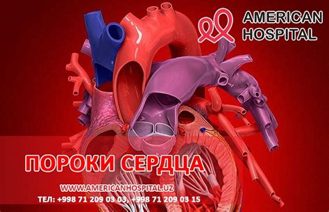 Порог Сердца Фото — New-Freepik.Ru