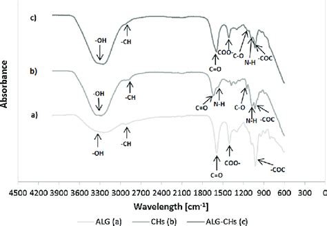 Ftir Spectra Of A Sodium Alginate B Chitosan And C Chitosan Sexiz Pix