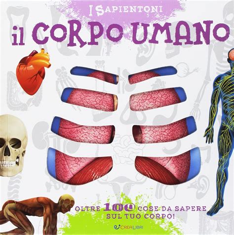 Il Corpo Umano Oltre Cose Da Sapere Sul Tuo Corpo Ediz A Colori