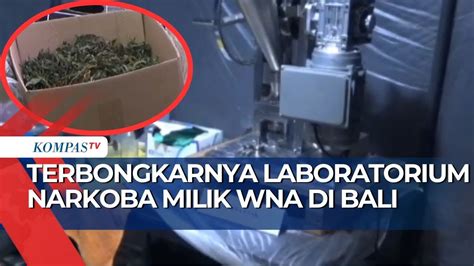 Laboratorium Narkoba Milik WNA Di Villa Canggu Bali Produksi Ganja