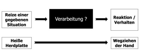 Fragenkatalog Teil Karteikarten Quizlet