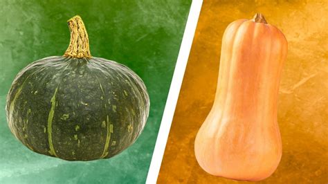 Butternut Vs Buttercup Squash Whats The Difference