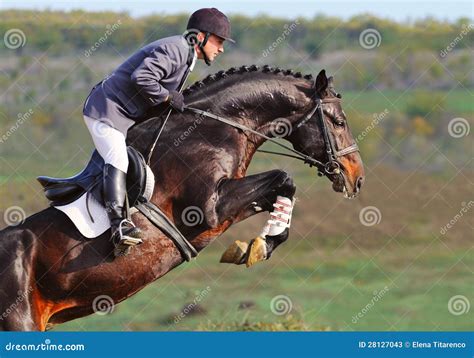 Rider on Bay Horse in Jumping Show Stock Image - Image of equine, sport ...