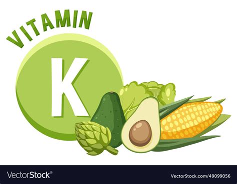 Educational Poster Foods Containing Vitamin K Vector Image