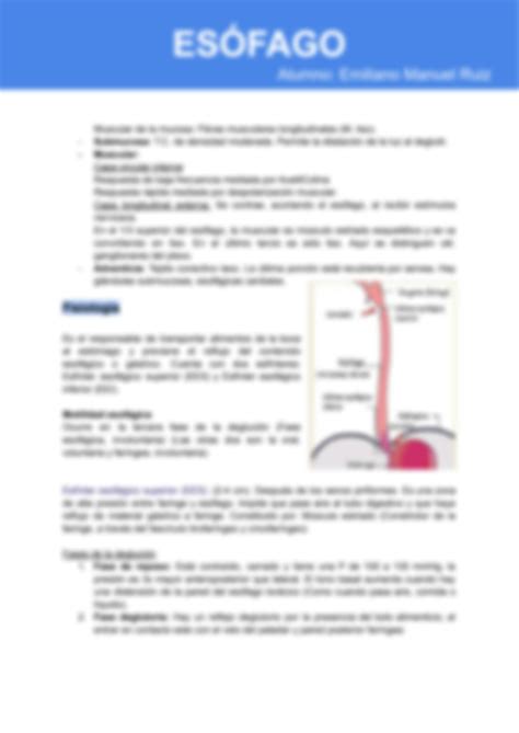 SOLUTION Gastroenterología Resumen de Anatomía y Fisiología del