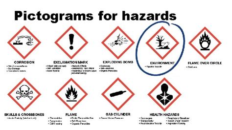 Pesticide Labels Safety Data Sheets Developed By Carol