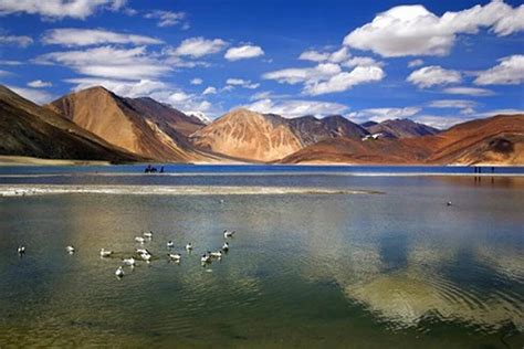 Ladakhs Tso Kar Wetland Complex Ramsar Site