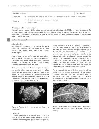 Ciencia Salud Y Medio Ambiente Gu A De Autoaprendizaje O Grado