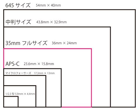 デジタルカメラのセンサーサイズ比較一覧 パパのカメラライフ