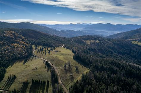 Aerial Photography of Forest · Free Stock Photo