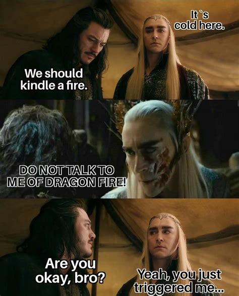 24 Hobbit Memes Thranduil Hobbit Memes Thranduil Funny The Hobbit