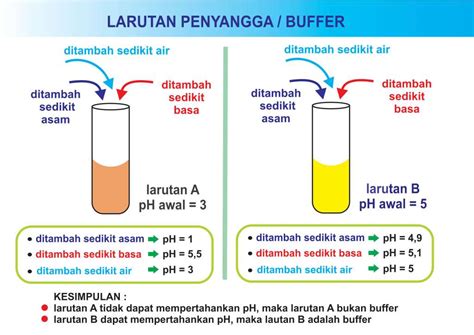 Fungsi Sistem Larutan Penyangga Dalam Darah Mempertahankan Homecare24