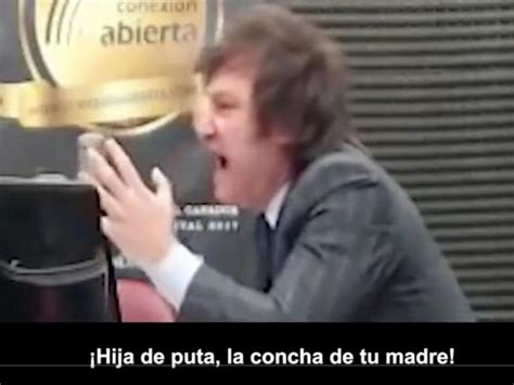 Massa Publicó Un Video Con Insultos De Milei “que No Se Transforme En