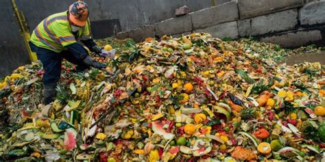 Keren! Tempat Sampah Pintar Ini Bisa Kurangi Limbah Makanan