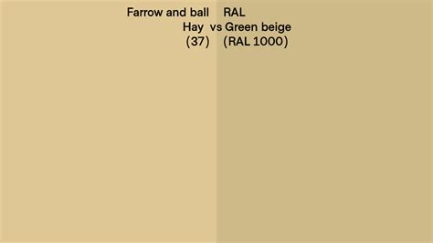 Farrow And Ball Hay 37 Vs Ral Green Beige Ral 1000 Side By Side