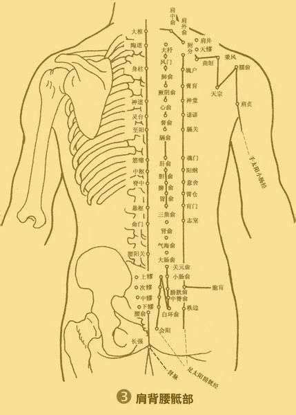 华佗夹脊穴与背俞穴有哪些不同？该如何定位？【快资讯】
