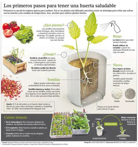 Construcción de una huerta y gráfico con consejos útiles