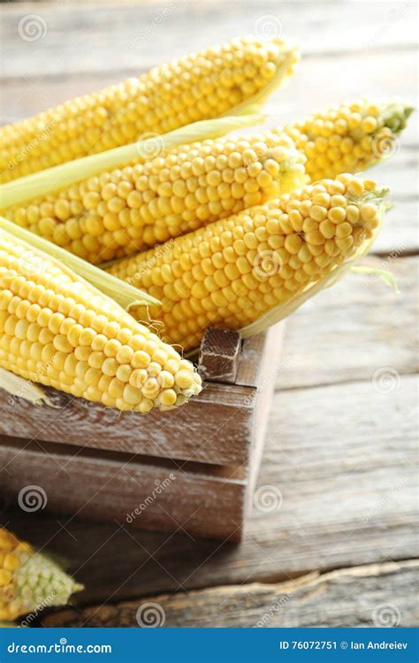 Sweet Corns Stock Image Image Of Grey Freshness Food 76072751