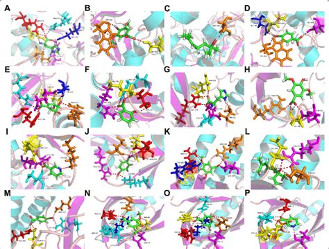 The Binding Modes Of Compounds And Nos A Histidine B Cedar Acid C