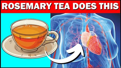 Healthy Reasons To Drink Rosemary Tea Everyday Youtube