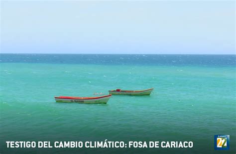 Canal Transmite Documentales Sobre Dos Ecosistemas Clave Para