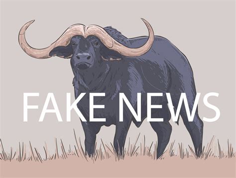 Fake News Bufala Maka