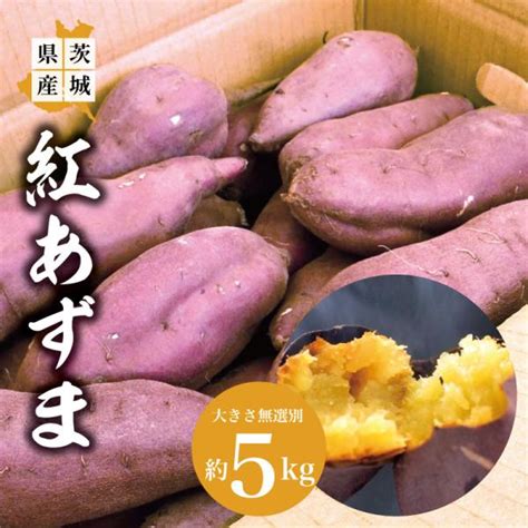 さつまいも 生芋 10kg 5kg×2箱 茨城産他 紅あずま S〜2l べにあずま 薩摩芋 送料無料 食品 注目ショップ