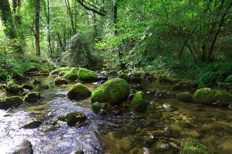 Sarria Soleado Eitb Eus Flickr