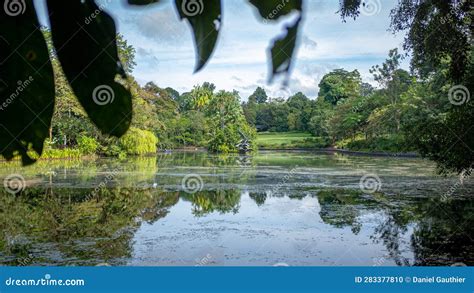 Morning View Of One Of The Lake Of The Singapore Botanical Garden Stock