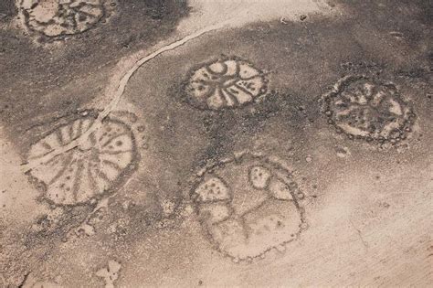 Desert Kites Mysterious Geoglyphs Built Thousands Of Years Ago The